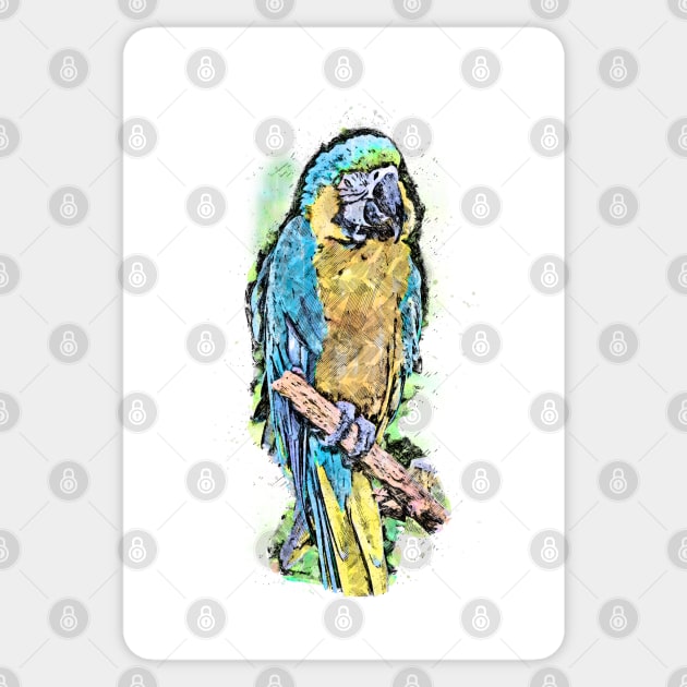 Watercolor Sketch Style Colorful Bird Sticker by GraphicBazaar